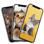 Cover Image of Download Cute Cat Wallpaper 8 APK