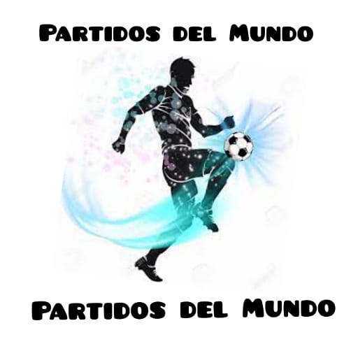 partidos del mundo