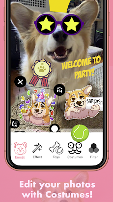 MaxiMojis - Corgi Dog Stickersのおすすめ画像3