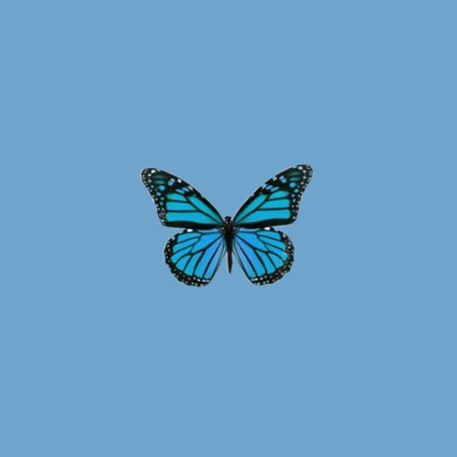 Butterfly Wallpapers logo