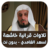 سعد الغامدي - تلاوات بدون نت icon