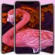 Flamingo Wallpaper - Androidアプリ