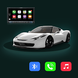 Tima App Car Link: Download & Review