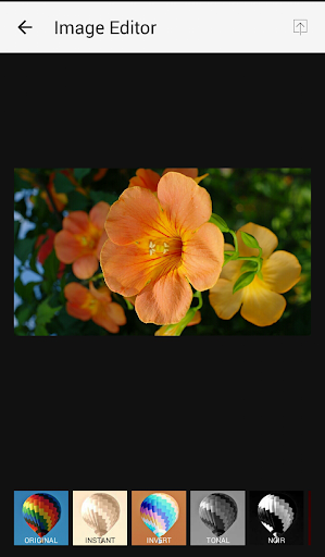 30 filters - Easy Photo Editor Screen 2