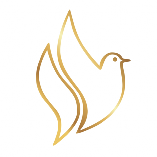 YHS App logo