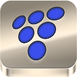 Vineyard App icon