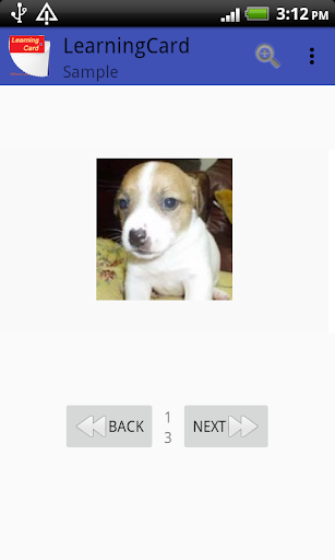 Android application Learning Card screenshort