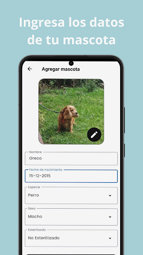 Petmeals Screen 2