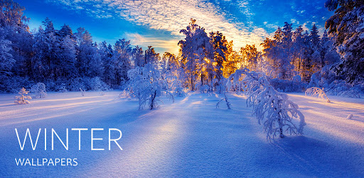 Winter wallpapers HD+