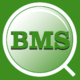BMS HSEQ icon