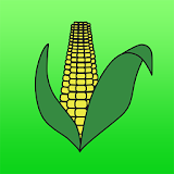 Alliance Grain icon