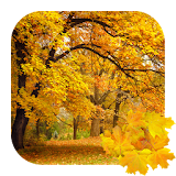 Beautiful Autumn Free Live Wallpaper icon