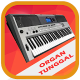 Organ Tunggal Karaoke icon