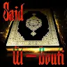 Quran by Said Al-Bouti