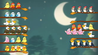 Game screenshot Bird Sort Quest hack
