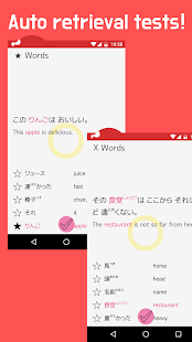 Learn Japanese basic words and sentences