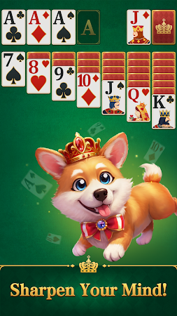 Game screenshot Solitaire - Card Game apk download