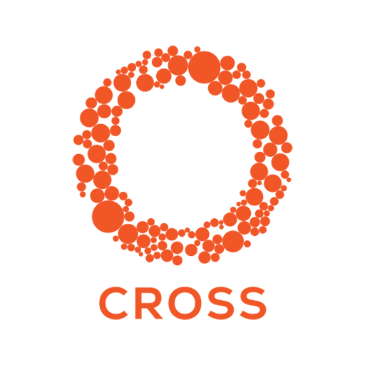 RoundGlass Cross for Doctors  Icon