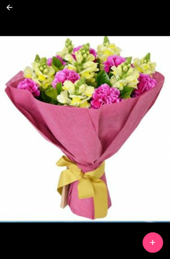Thanksgiving Flowers Screen 3