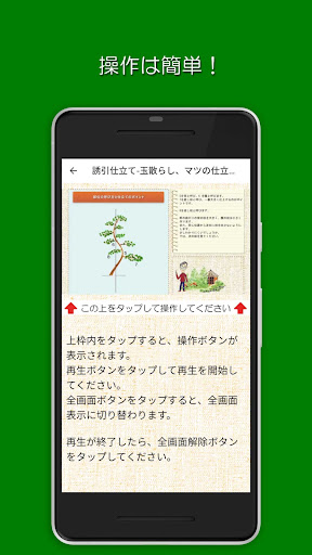 樹形式剪定教室 基本編 中級 Screen 3