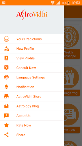 AstroVidhi - Kundali Horoscope Screen 2