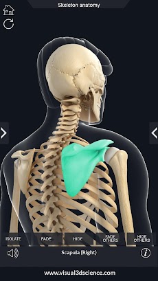 Skeleton Anatomy Pro.のおすすめ画像3