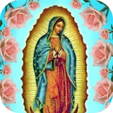 En Vivo Virgen de Guadalupe icon
