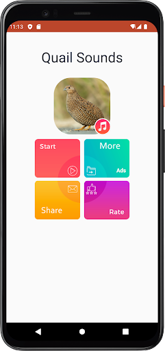Quail Sounds Screen 2