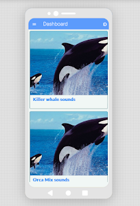 Learn about Killer whales Unknown
