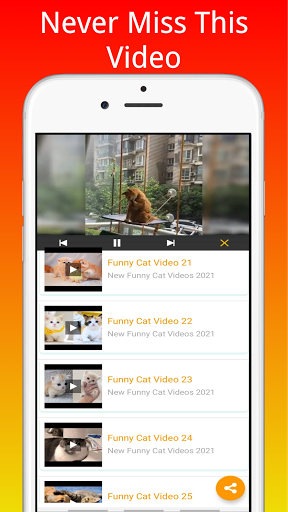 Funny Cat Videos  Best Cute Cat videos 2021