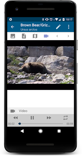 Stuarts North American Mammals Screenshot