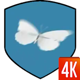 Butterfly Video Wallpaper icon