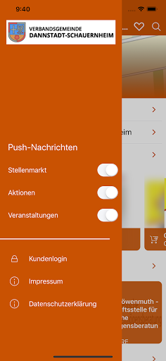 VG Dannstadt-Schauernheim • ap Screen 2