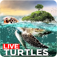 🐢 Sea Turtle Lock Screen Live