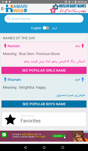 Muslim Baby Names & Meanings Islamic Boys & Girls  APK screenshots 6