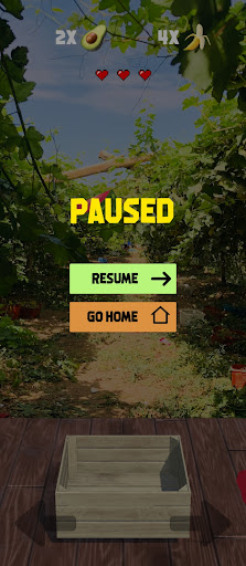 Fruit Catcher Screen 3