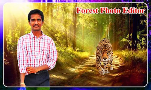 Forest photo editor
