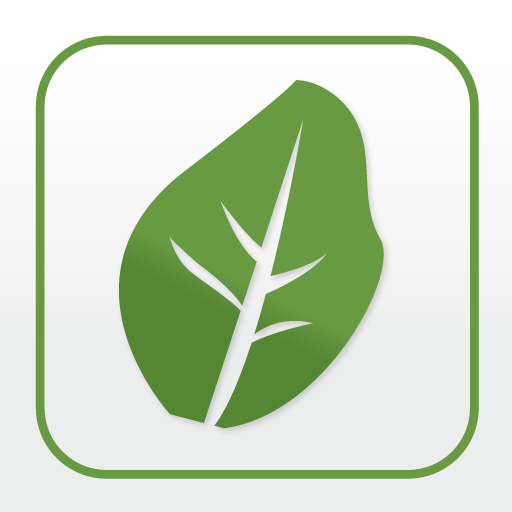 dein LENKS logo