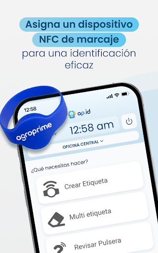 ap.id Screenshot
