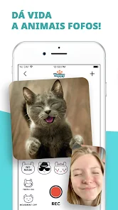 Download do APK de Vídeos engraçados de gatos e cachorros para Android