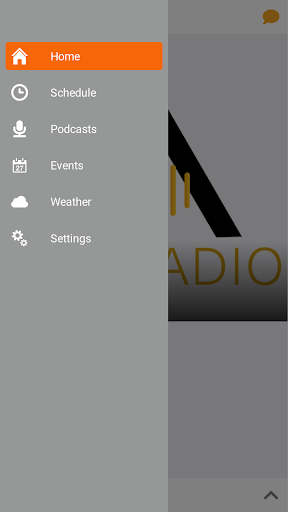ALP Radio Screen 2