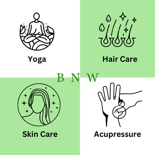 Bindu Natural World logo