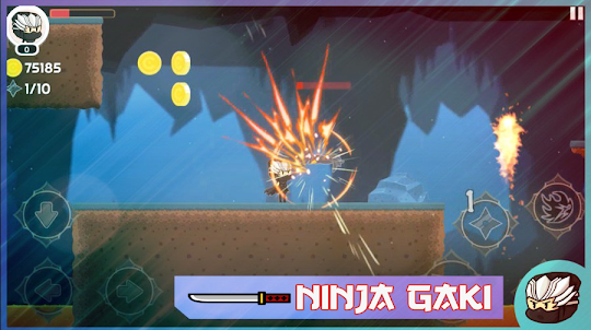 Ninja Gaki: The Adventure
