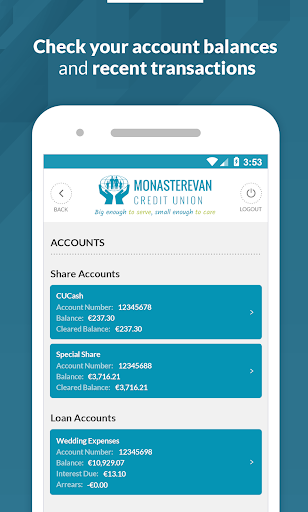 Monasterevan Credit Union Screen 2