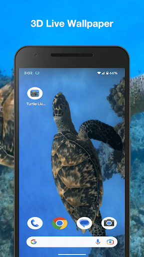 Android application Turtle Live Wallpaper screenshort