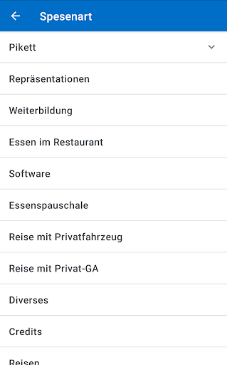 adesso Zeit & Spesen Screen 2