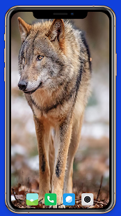 Wolf Wallpaper 1.1 APK screenshots 10