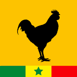 Pathé Sénégal icon