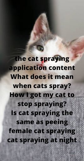 cat spraying Screen 2