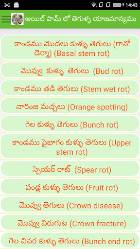 Oil Palm Diseases Telugu Screen 3